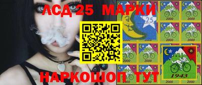 прущие грибы Кулебаки