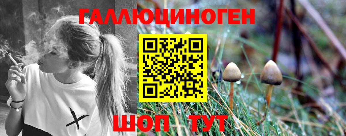 Псилоцибиновые грибы мухоморы Керчь